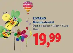 Lidl LIVARNO Morișcă de vânt Ofertă