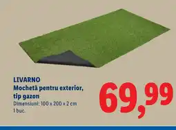 Lidl LIVARNO Mochetă pentru exterior, tip gazon Ofertă