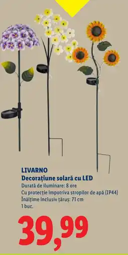 Lidl LIVARNO Decoraţiune solară cu LED Ofertă