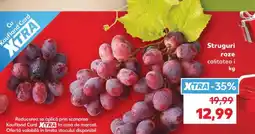 Kaufland Struguri roze Ofertă