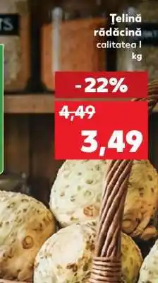 Kaufland Ţelină rădăcină Ofertă