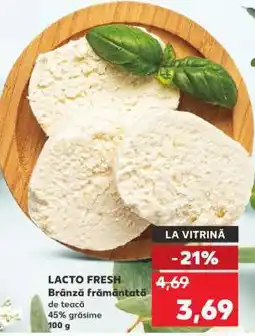 Kaufland LACTO FRESH Brânză frământată Ofertă