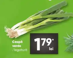 PROFI Ceapă verde Ofertă