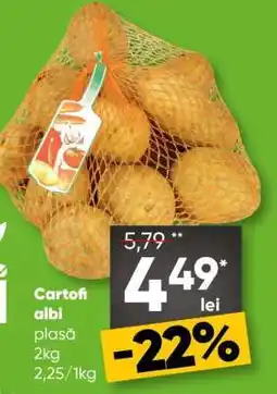 PROFI Cartofi albi Ofertă