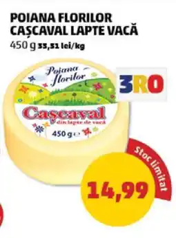 Penny POIANA FLORILOR CAȘCAVAL LAPTE VACĂ Ofertă
