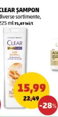 Penny CLEAR Şampon Ofertă