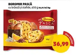 Penny BOROMIR PASCĂ Ofertă