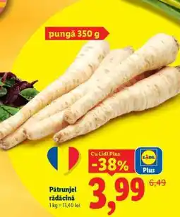 Lidl Pătrunjel rădăcină Ofertă