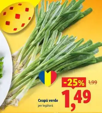 Lidl Ceapă verde Ofertă