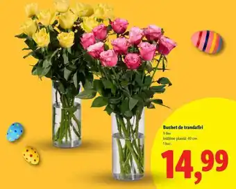 Lidl Buchet de trandafiri Ofertă