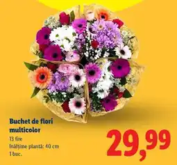 Lidl Buchet de flori multicolor Ofertă