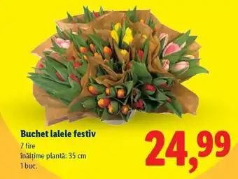 Lidl Buchet lalele festiv Ofertă