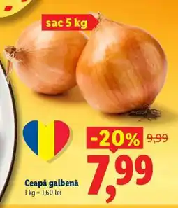 Lidl Ceapă galbenă Ofertă