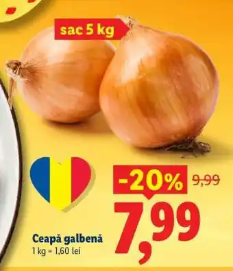 Lidl Ceapă galbenă Ofertă