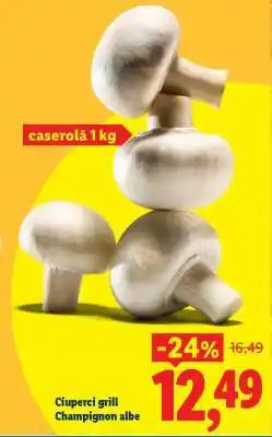 Lidl Ciuperci grill Champignon albe Ofertă