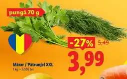 Lidl Mărar / Pătrunjel XXL Ofertă