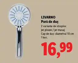 Lidl LIVARNO Pară de duș Ofertă