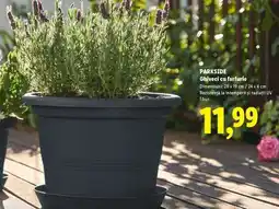 Lidl PARKSIDE Ghiveci cu farfurie Ofertă