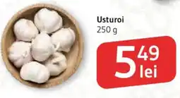 Supeco Usturoi Ofertă