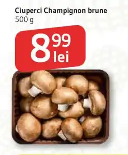 Supeco Ciuperci Champignon brune Ofertă