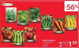 Selgros Semințe plante Ofertă