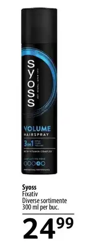 Selgros SYOSS Ofertă