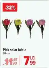 Carrefour Pick Solar Lalele Ofertă