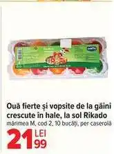 Carrefour Ouă fierte și vopsite Rikado Ofertă