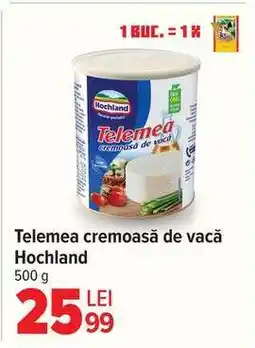 Carrefour Telemea cremoasă de vacă Hochland Ofertă