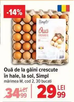 Carrefour Ouă de la găini crescute în hale, la sol, Simpl Ofertă