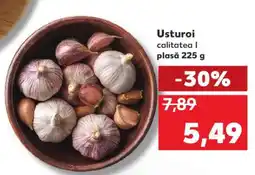 Kaufland Usturoi Ofertă