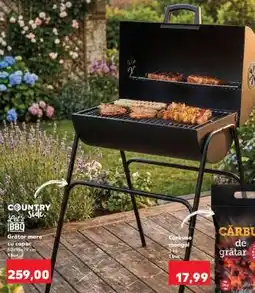 Kaufland Grătar mare cu capac Ofertă