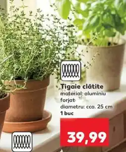 Kaufland Tigaie clătite Ofertă