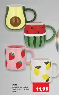 Kaufland Cană Ofertă