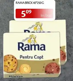 Unicarm Rama brick Ofertă