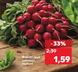 Kaufland Ridichi roşii Ofertă