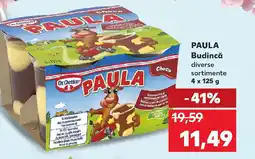 Kaufland PAULA Budincă Ofertă