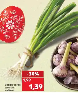 Kaufland Ceapă verde Ofertă