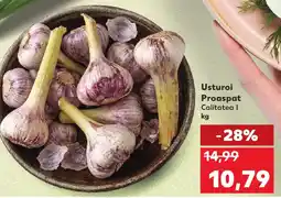 Kaufland Usturoi Proaspat Ofertă