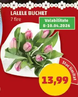 Penny LALELE BUCHET Ofertă