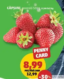 Penny Căpșuni caserolă 500g Ofertă