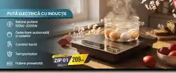 Selgros Plită electrică cu inducție Ofertă