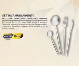 Selgros SET TACAMURI ARGINTII Ofertă