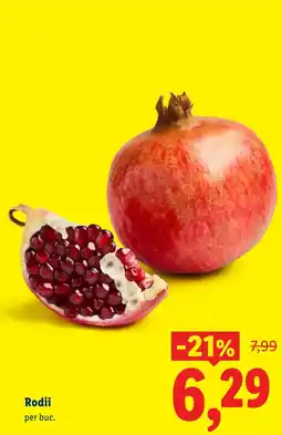 Lidl Rodii Ofertă