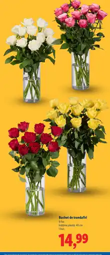 Lidl Buchet de trandafiri Ofertă