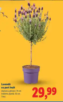 Lidl Lavandǎ cu port înalt Ofertă