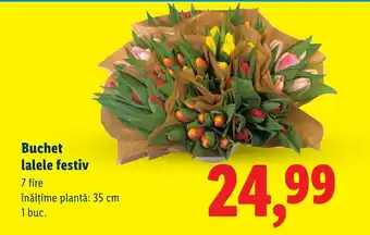 Lidl Buchet lalele festiv Ofertă
