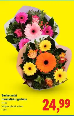 Lidl Buchet mixt trandafiri şi gerbere Ofertă
