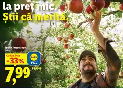 Lidl Mere Crimson Snow Ofertă