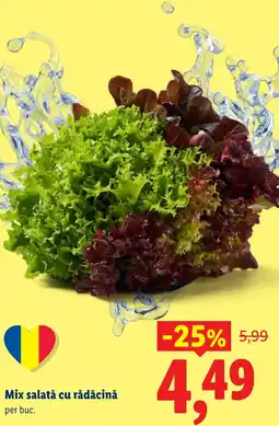 Lidl Mix salată cu rădăcină Ofertă